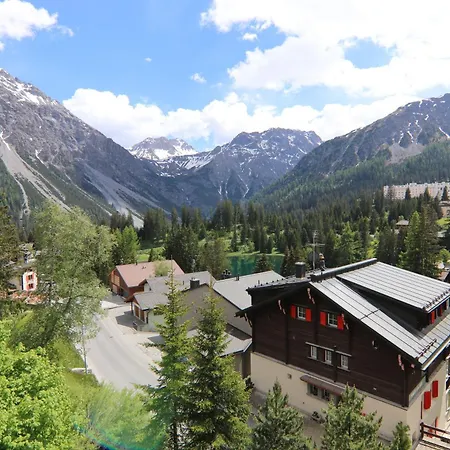 Badrutt By ארוזה